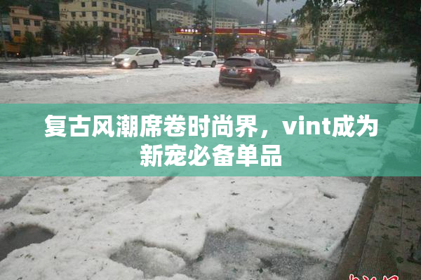 复古风潮席卷时尚界，vint成为新宠必备单品