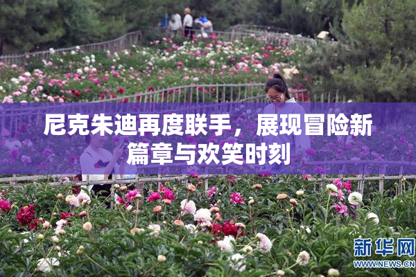 尼克朱迪再度联手，展现冒险新篇章与欢笑时刻