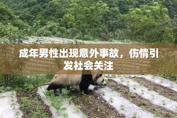 成年男性出现意外事故，伤情引发社会关注