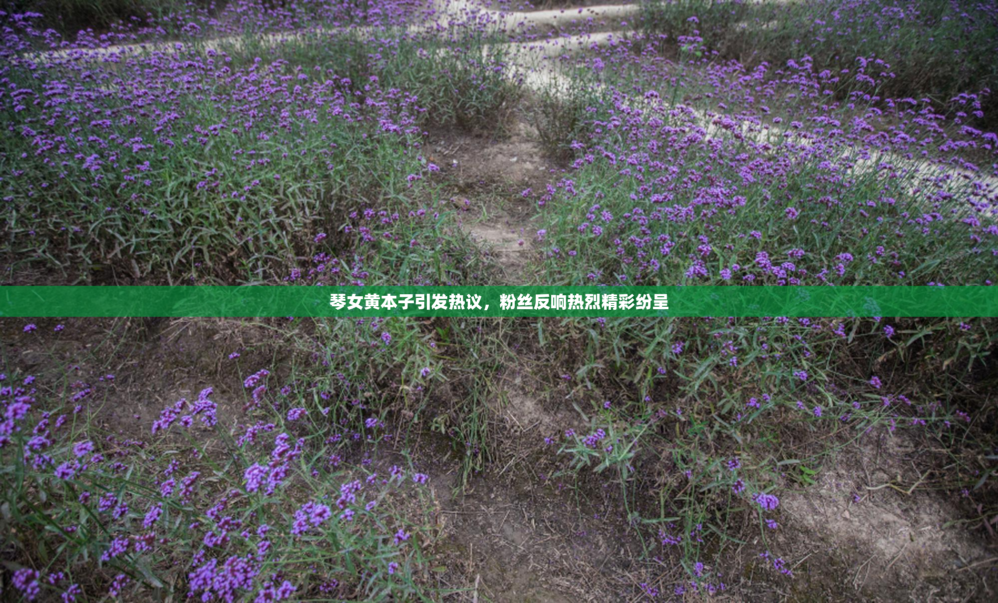 琴女黄本子引发热议，粉丝反响热烈精彩纷呈