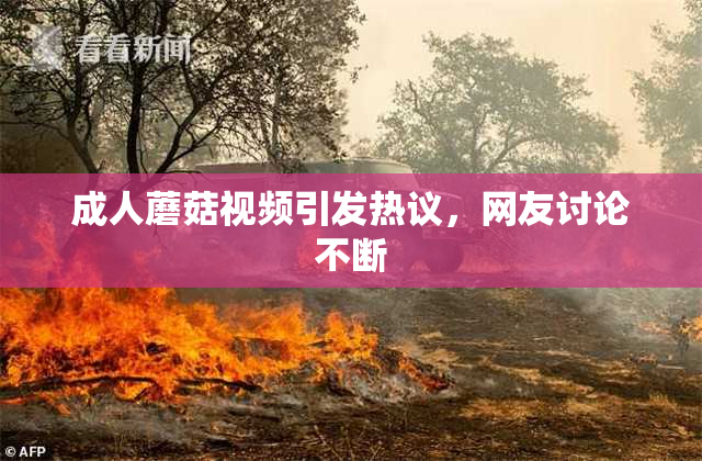 成人蘑菇视频引发热议，网友讨论不断