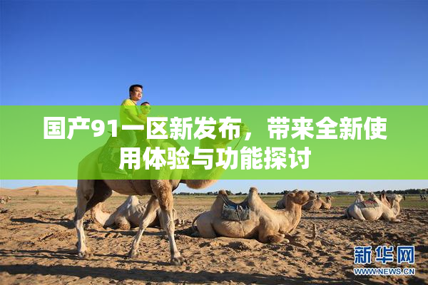 国产91一区新发布，带来全新使用体验与功能探讨