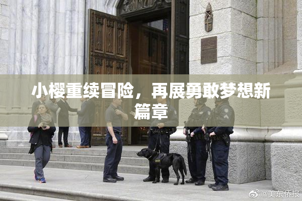 小樱重续冒险，再展勇敢梦想新篇章