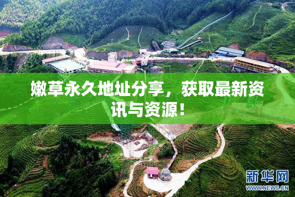 嫩草永久地址分享，获取最新资讯与资源！