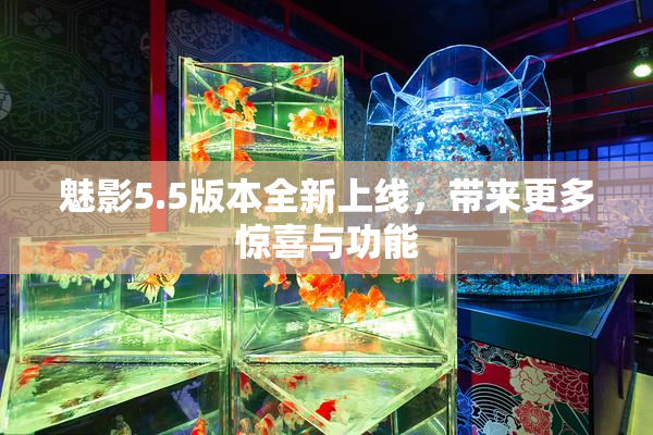 魅影5.5版本全新上线，带来更多惊喜与功能