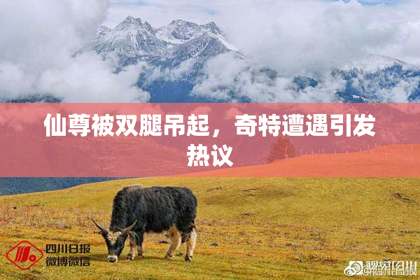 仙尊被双腿吊起，奇特遭遇引发热议