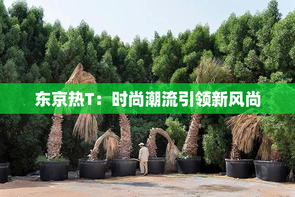 东京热T：时尚潮流引领新风尚