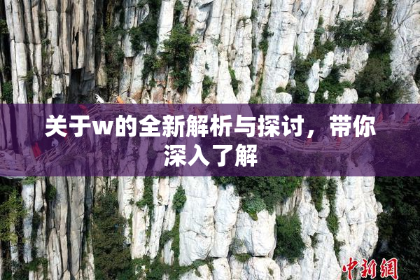 关于w的全新解析与探讨，带你深入了解