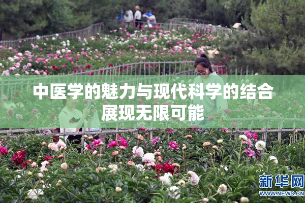中医学的魅力与现代科学的结合展现无限可能