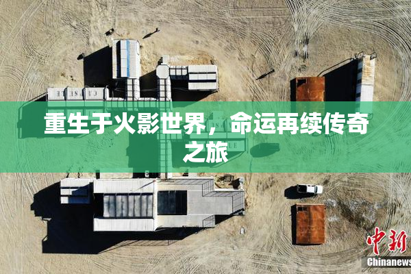 重生于火影世界，命运再续传奇之旅