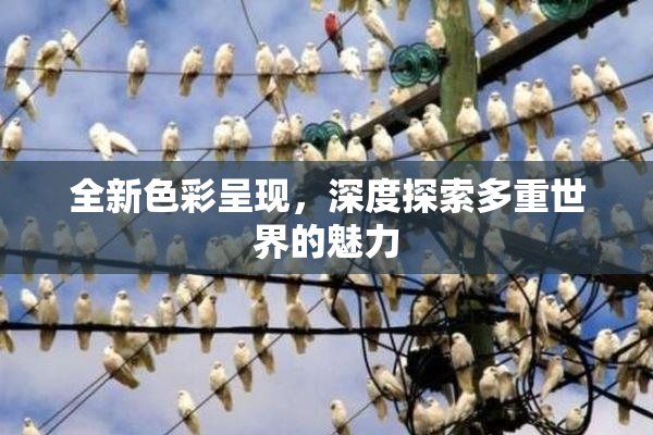 全新色彩呈现，深度探索多重世界的魅力