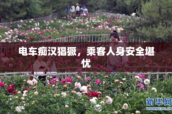 电车痴汉猖獗，乘客人身安全堪忧