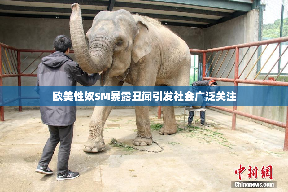 欧美性奴SM暴露丑闻引发社会广泛关注