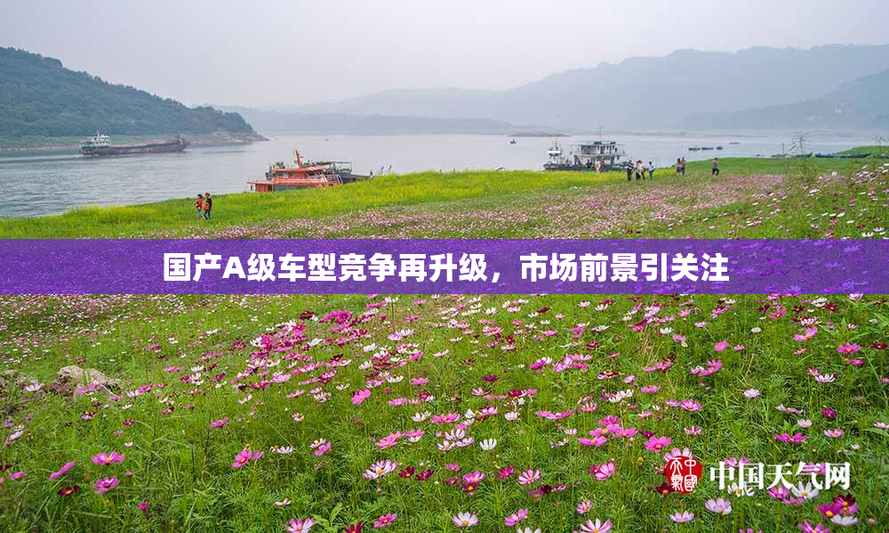 国产A级车型竞争再升级，市场前景引关注