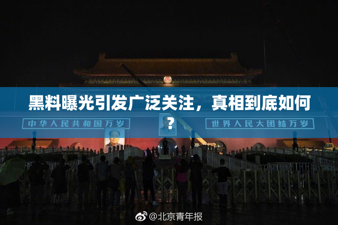 黑料曝光引发广泛关注，真相到底如何？