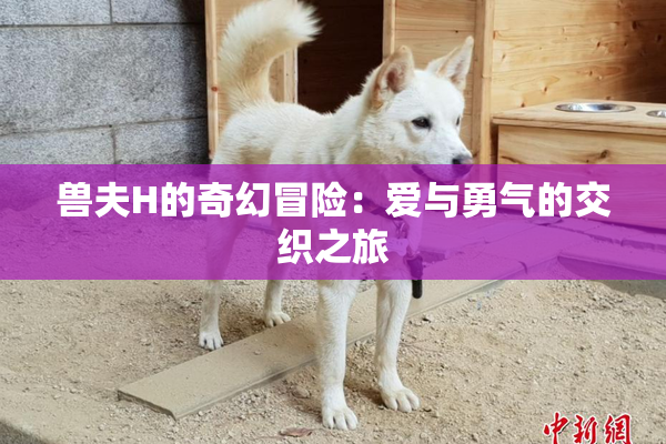 兽夫H的奇幻冒险：爱与勇气的交织之旅