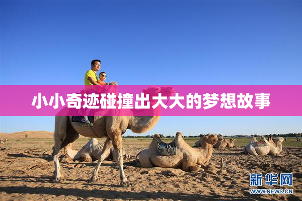 小小奇迹碰撞出大大的梦想故事