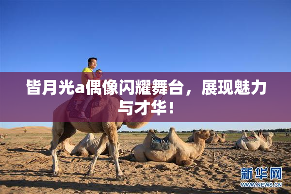 皆月光a偶像闪耀舞台，展现魅力与才华！