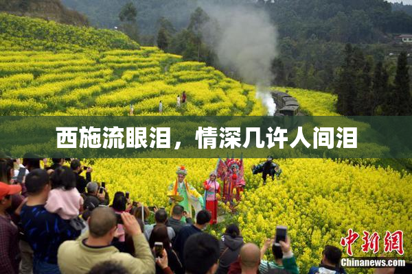 西施流眼泪，情深几许人间泪