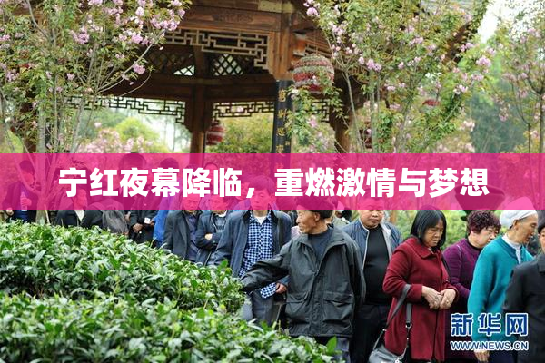 宁红夜幕降临，重燃激情与梦想