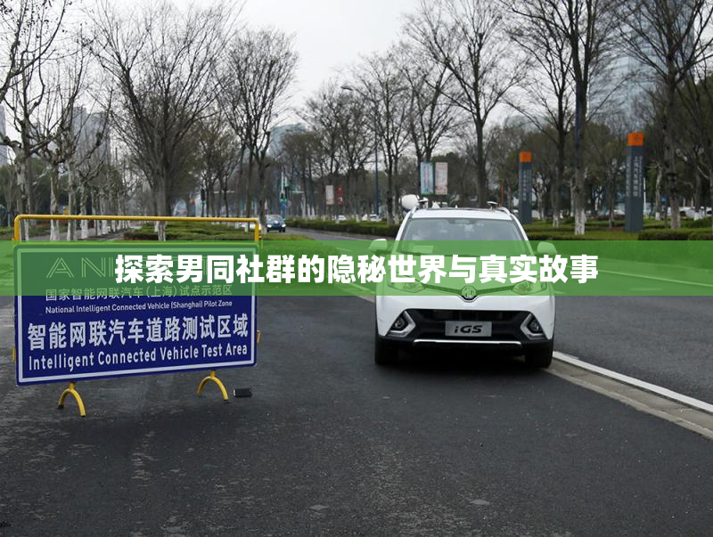 探索男同社群的隐秘世界与真实故事