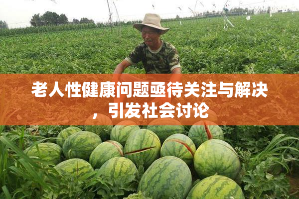 老人性健康问题亟待关注与解决，引发社会讨论