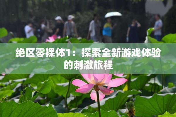 绝区零裸体1：探索全新游戏体验的刺激旅程