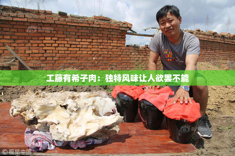 工藤有希子肉：独特风味让人欲罢不能