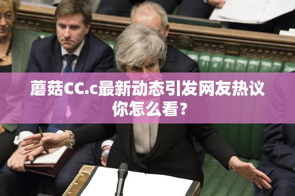 蘑菇CC.c最新动态引发网友热议 你怎么看？