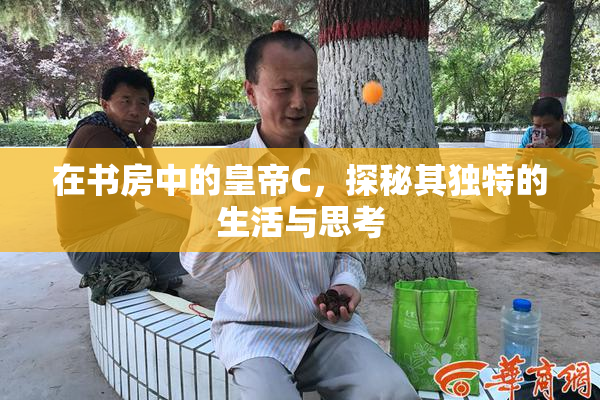在书房中的皇帝C，探秘其独特的生活与思考