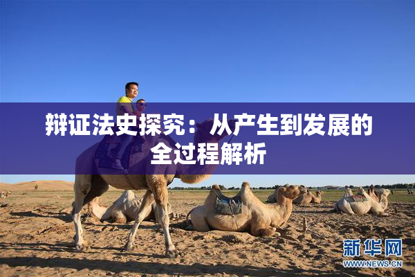 辩证法史探究：从产生到发展的全过程解析