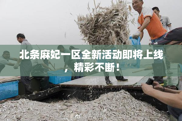 北条麻妃一区全新活动即将上线，精彩不断！