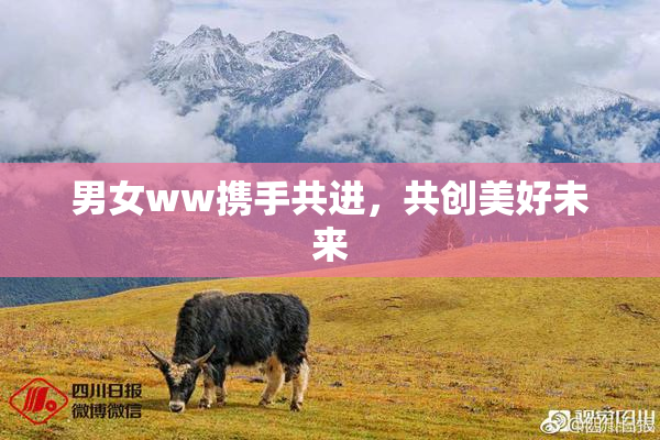 男女ww携手共进，共创美好未来