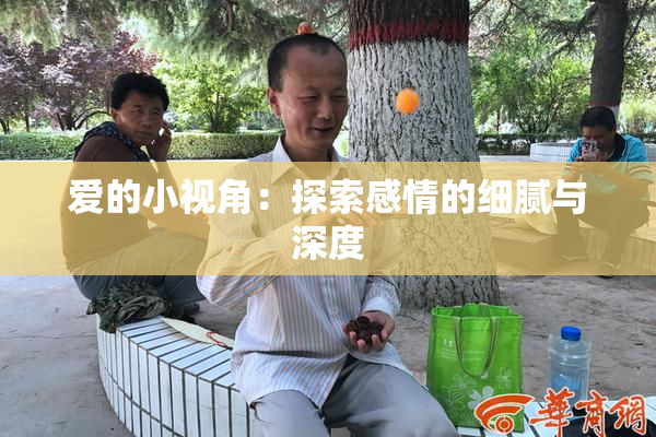 爱的小视角：探索感情的细腻与深度