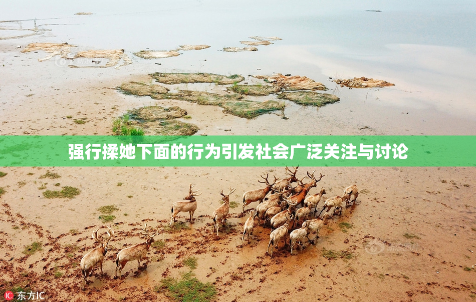 强行揉她下面的行为引发社会广泛关注与讨论