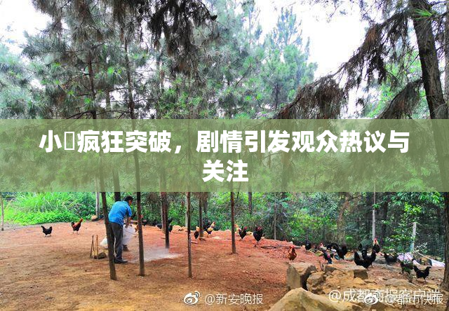 小泬疯狂突破，剧情引发观众热议与关注