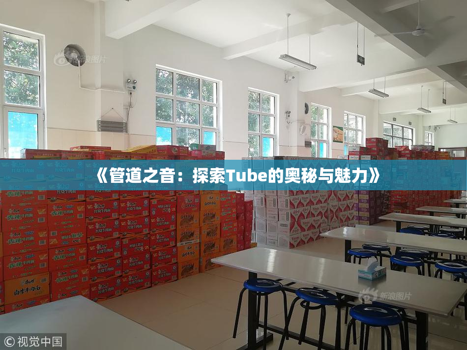 《管道之音：探索Tube的奥秘与魅力》