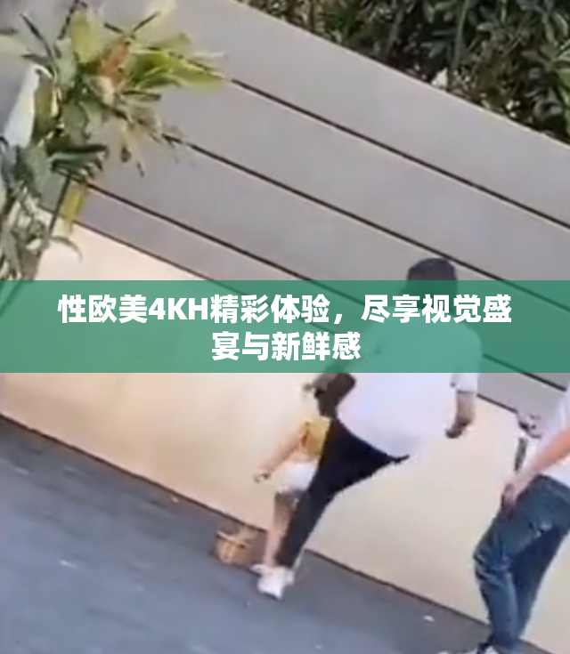 性欧美4KH精彩体验，尽享视觉盛宴与新鲜感