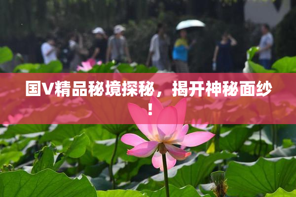 国V精品秘境探秘，揭开神秘面纱！