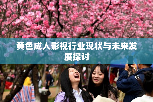 黄色成人影视行业现状与未来发展探讨