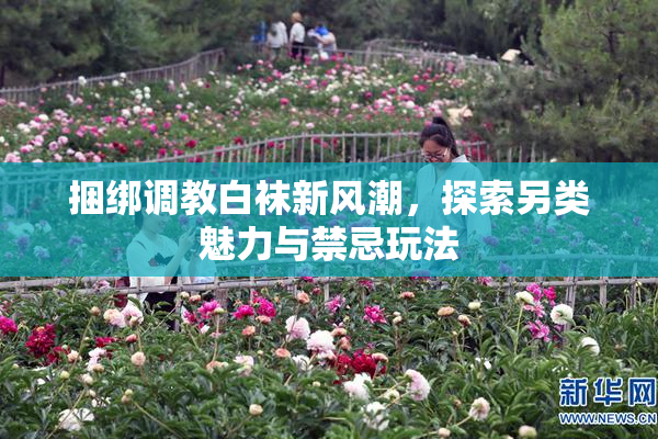 捆绑调教白袜新风潮，探索另类魅力与禁忌玩法