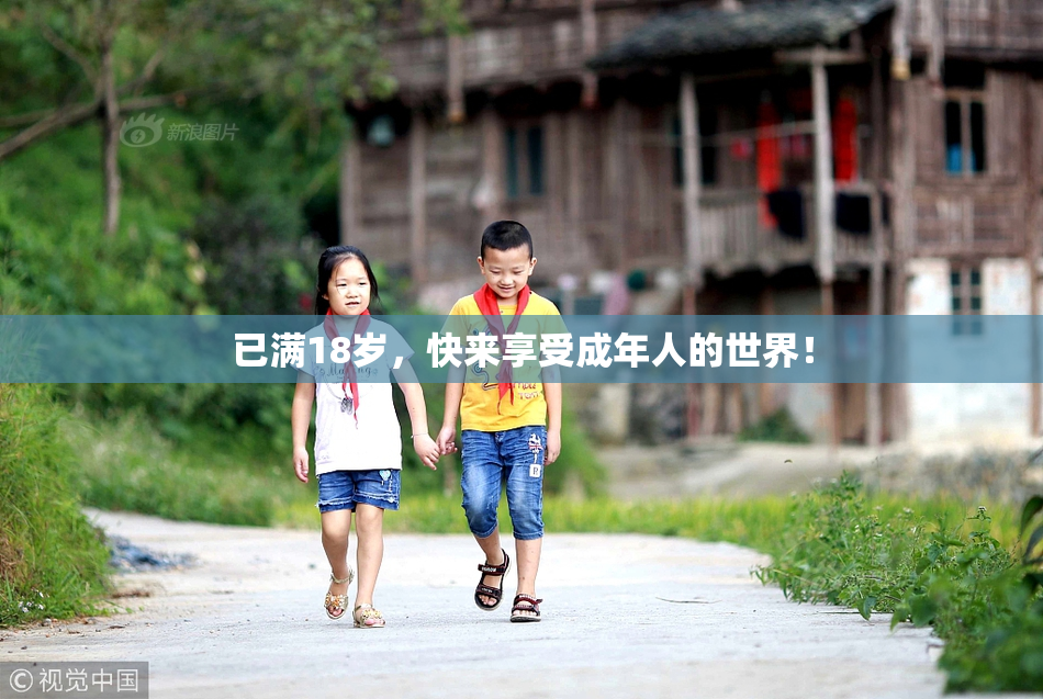 已满18岁，快来享受成年人的世界！