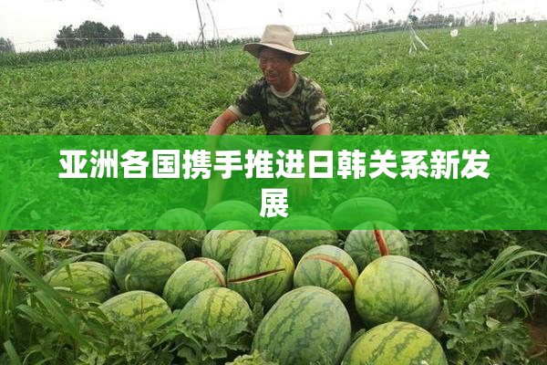 亚洲各国携手推进日韩关系新发展