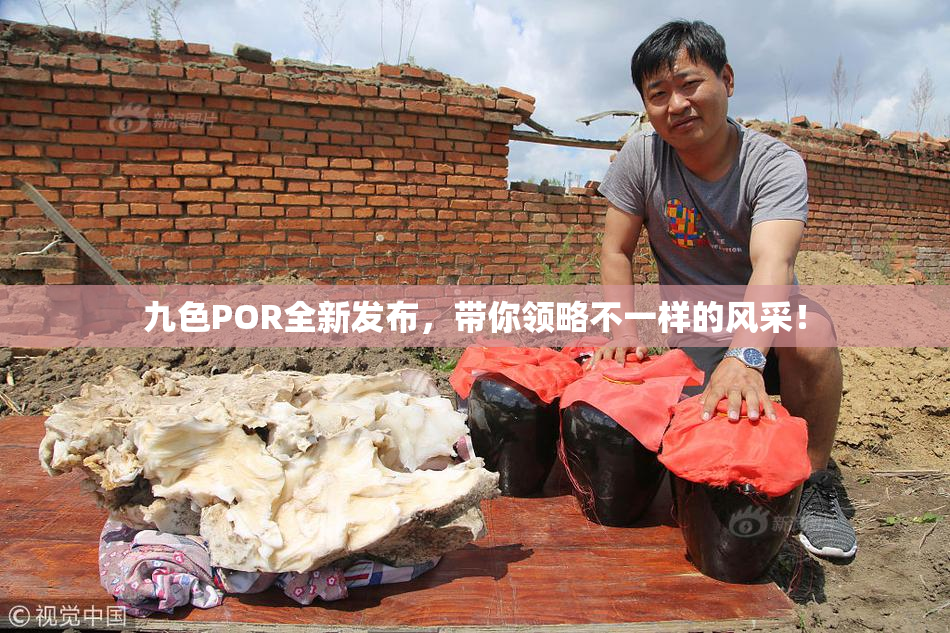 九色POR全新发布，带你领略不一样的风采！