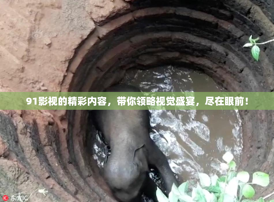 91影视的精彩内容，带你领略视觉盛宴，尽在眼前！
