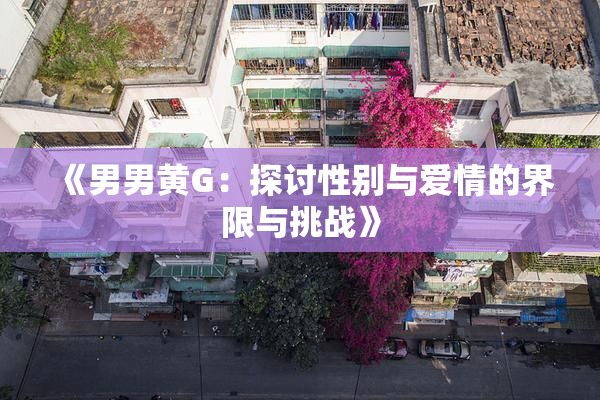《男男黄G：探讨性别与爱情的界限与挑战》