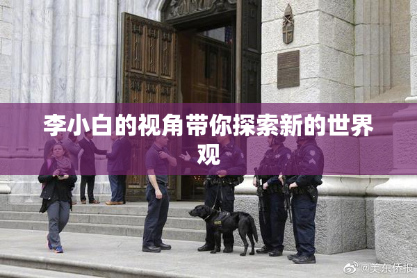 李小白的视角带你探索新的世界观