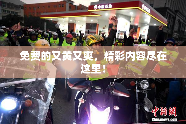 免费的又黄又爽，精彩内容尽在这里！