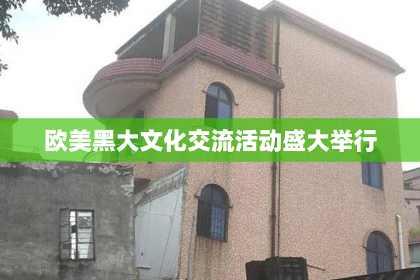 欧美黑大文化交流活动盛大举行