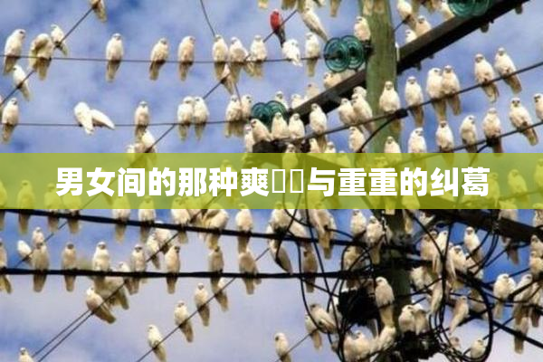 男女间的那种爽❌‌与重重的纠葛